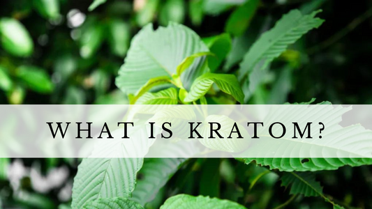 What is Kratom?