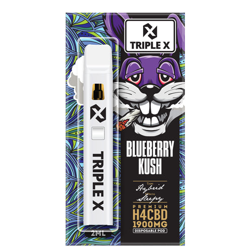 H4CBD Disposable Pen 2.0 ml - GOOD BUDS® - Prague Online Cannabis Store