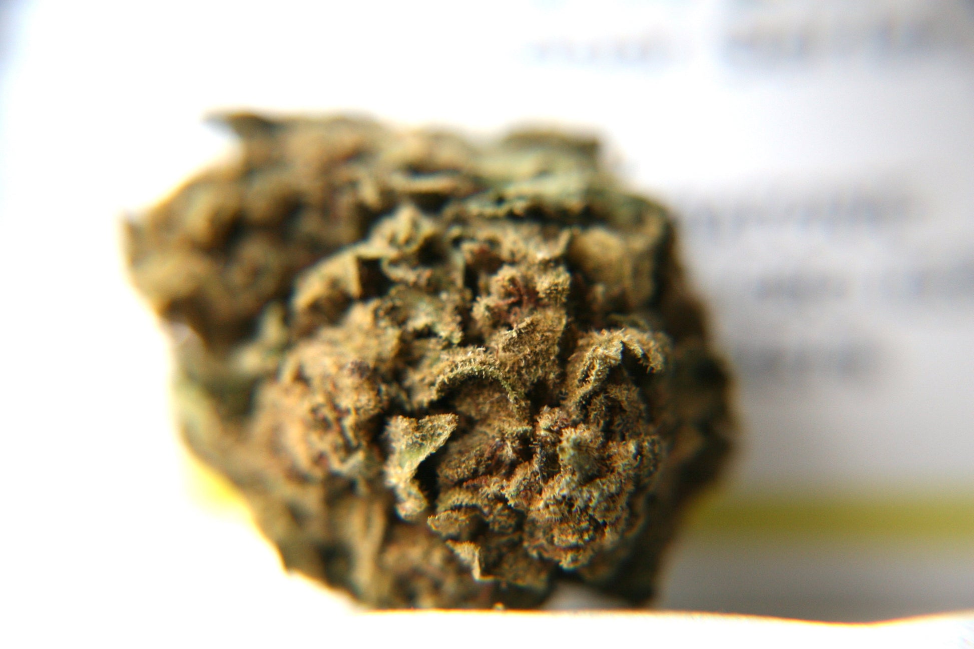 Cannatonic - Bulk - GOOD BUDS® - Prague Online Cannabis Store