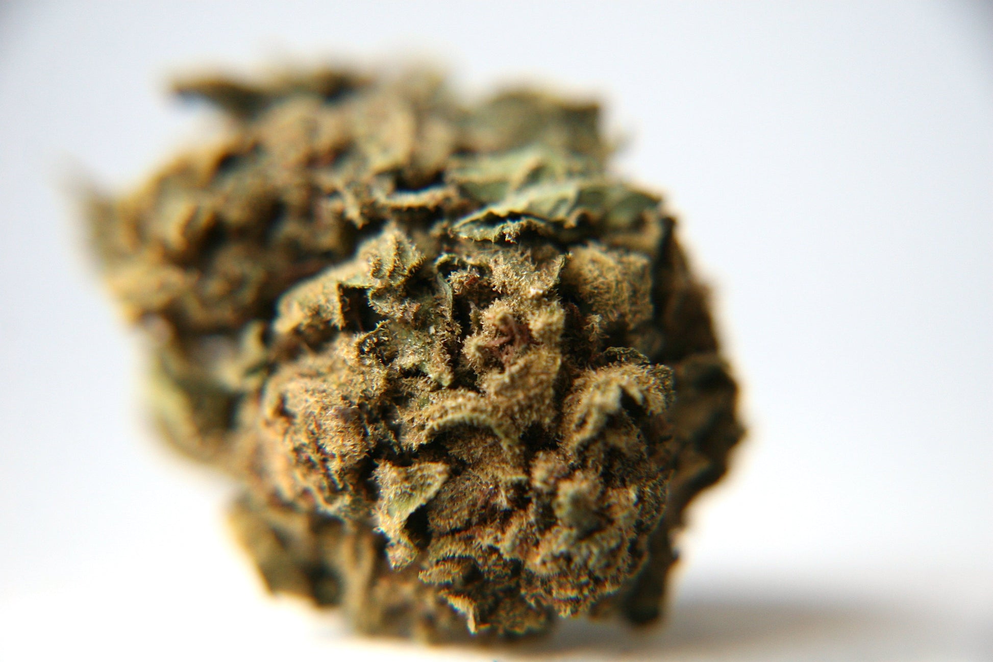 Cannatonic - Bulk - GOOD BUDS® - Prague Online Cannabis Store