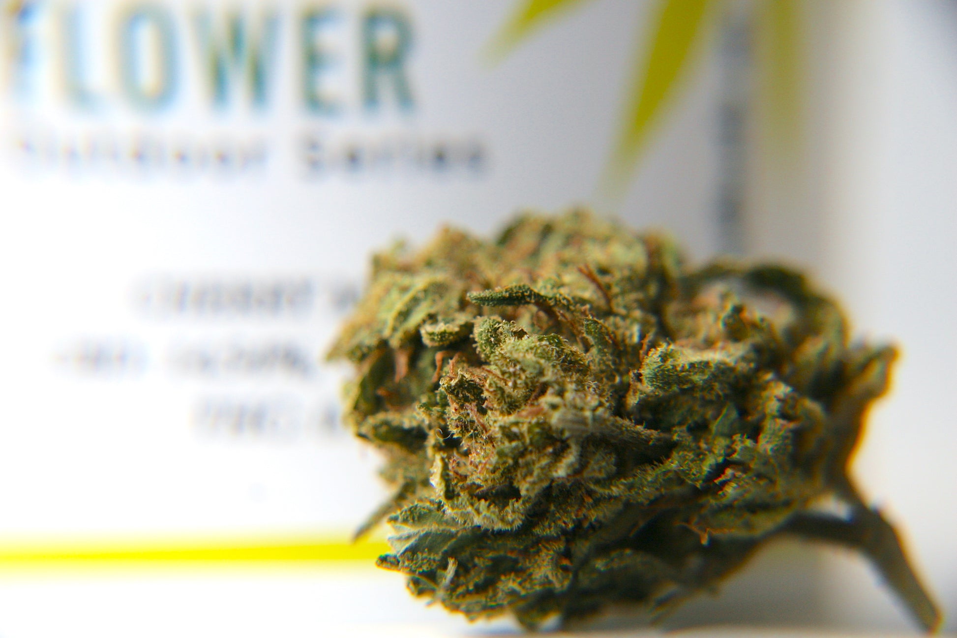 Cherry Mouse - GOOD BUDS® - Prague Online Cannabis Store