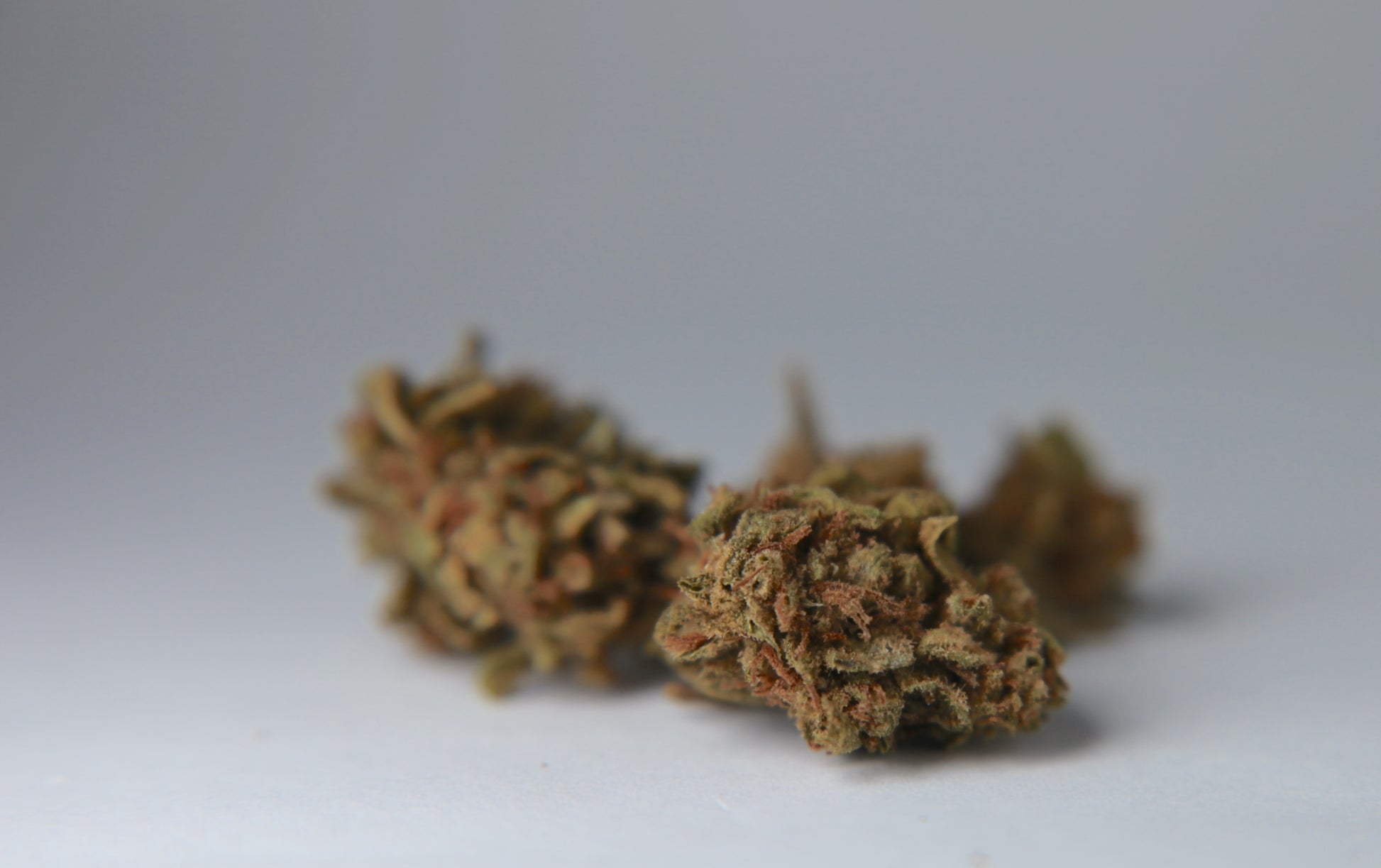 Berry-Cheese Cake - Small Buds - GOOD BUDS® - Prague Online Cannabis Store