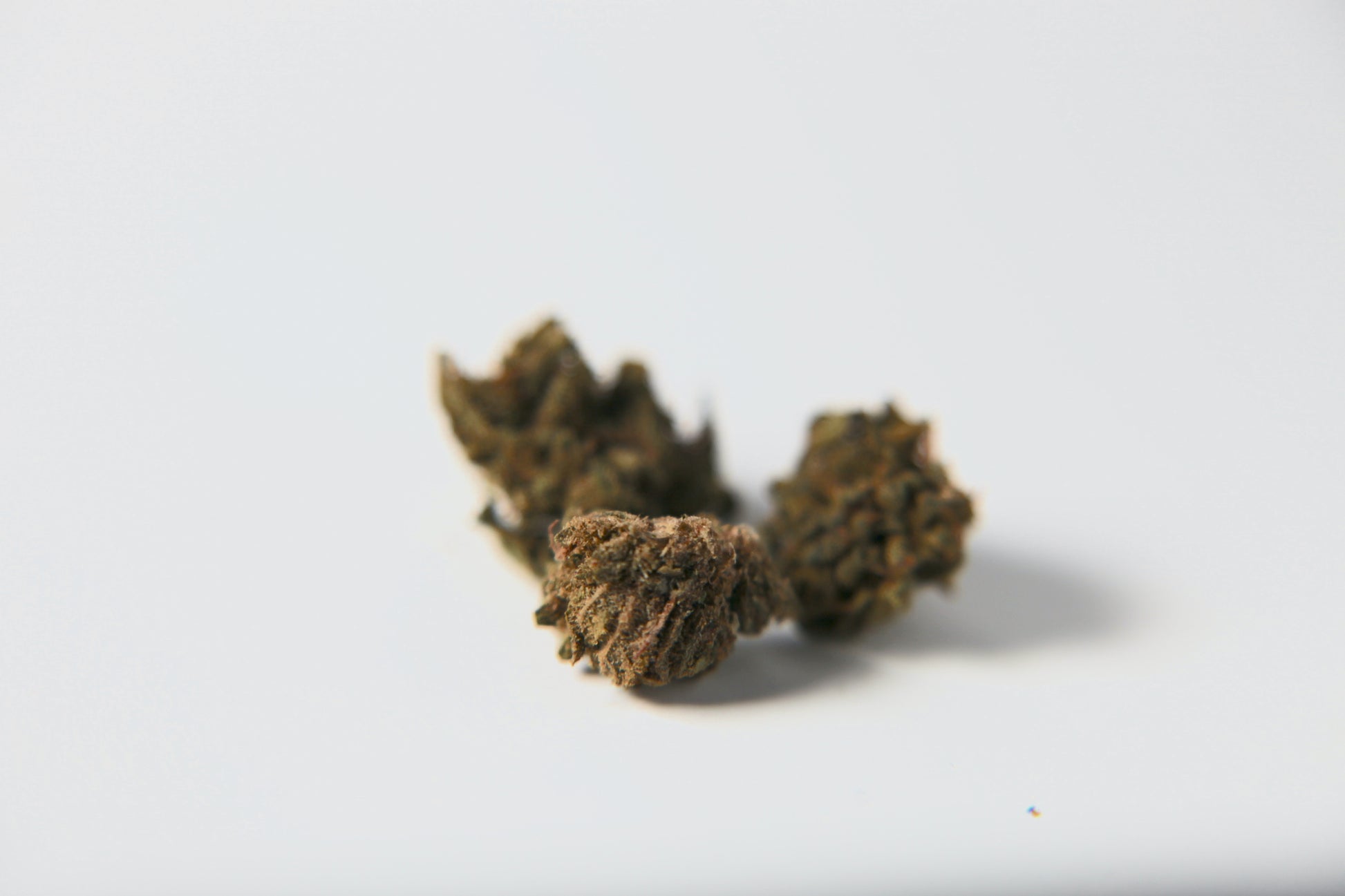 Cherry Mouse - Small Buds - GOOD BUDS® - Prague Online Cannabis Store