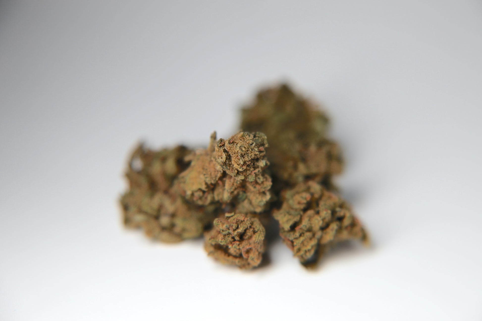 Cherry Mouse - Small Buds - Bulk - GOOD BUDS® - Prague Online Cannabis Store