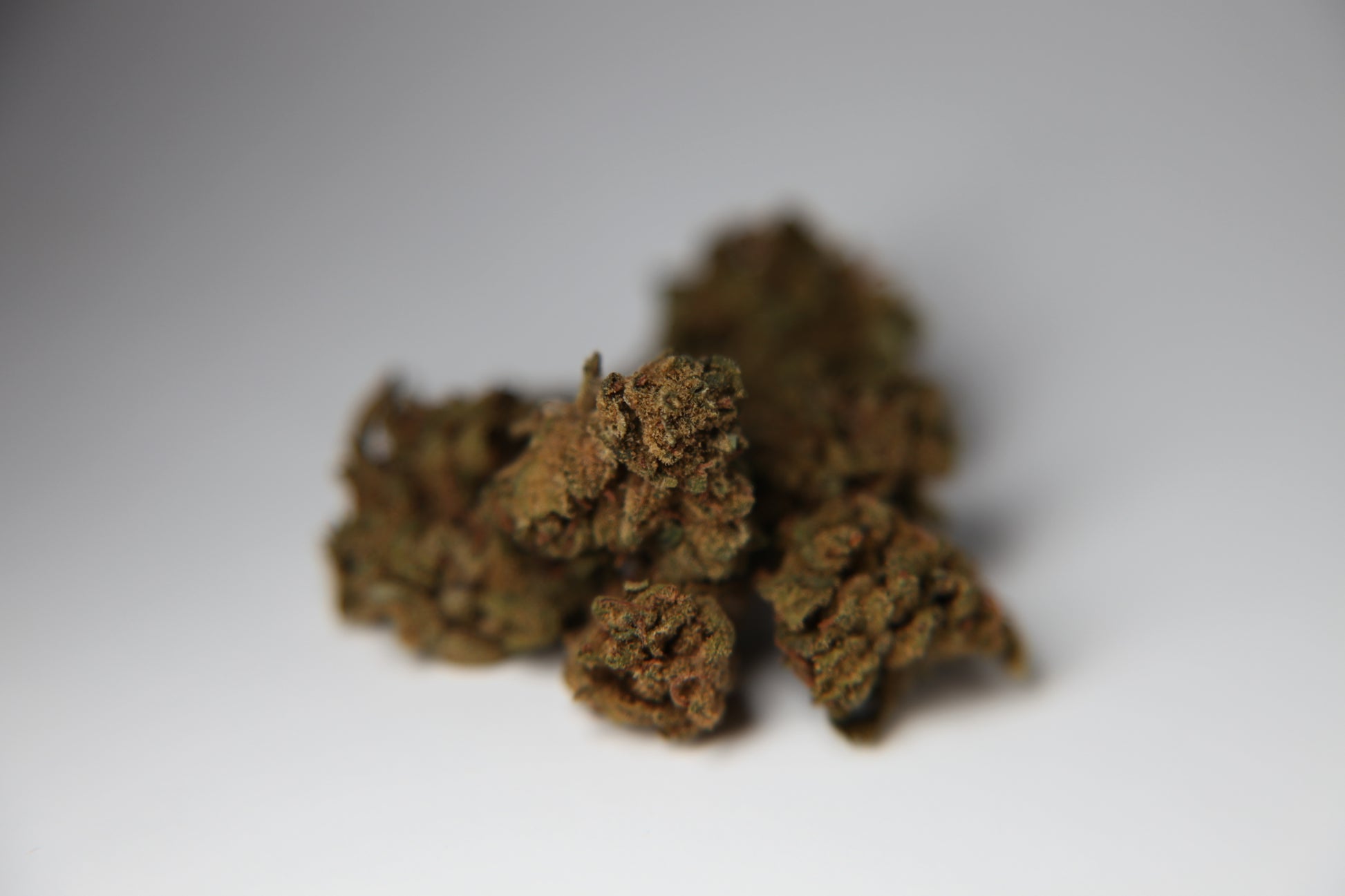 Cherry Mouse - Small Buds - Bulk - GOOD BUDS® - Prague Online Cannabis Store