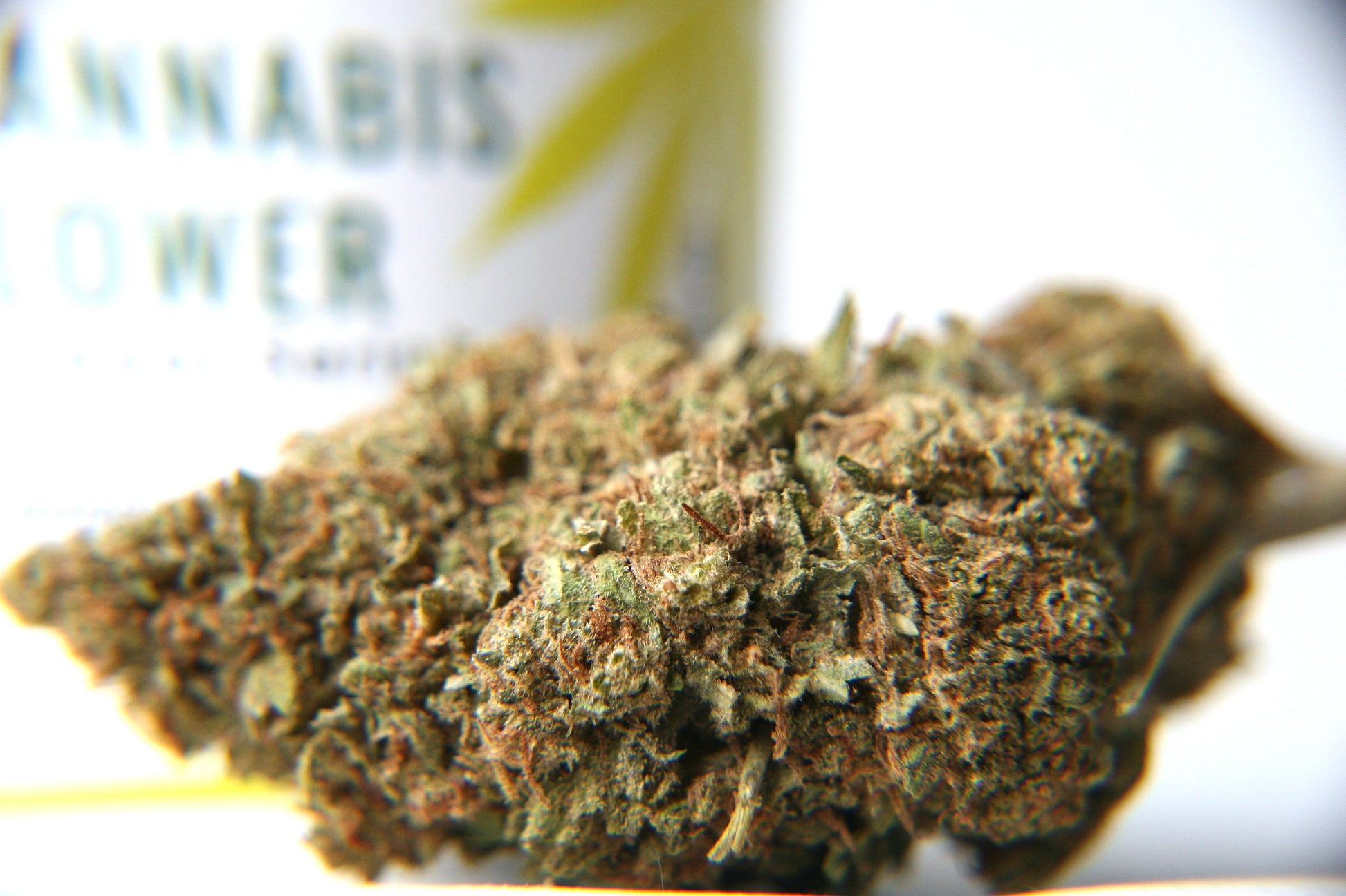 Berry-Cheese Cake - Bulk - GOOD BUDS® - Prague Online Cannabis Store