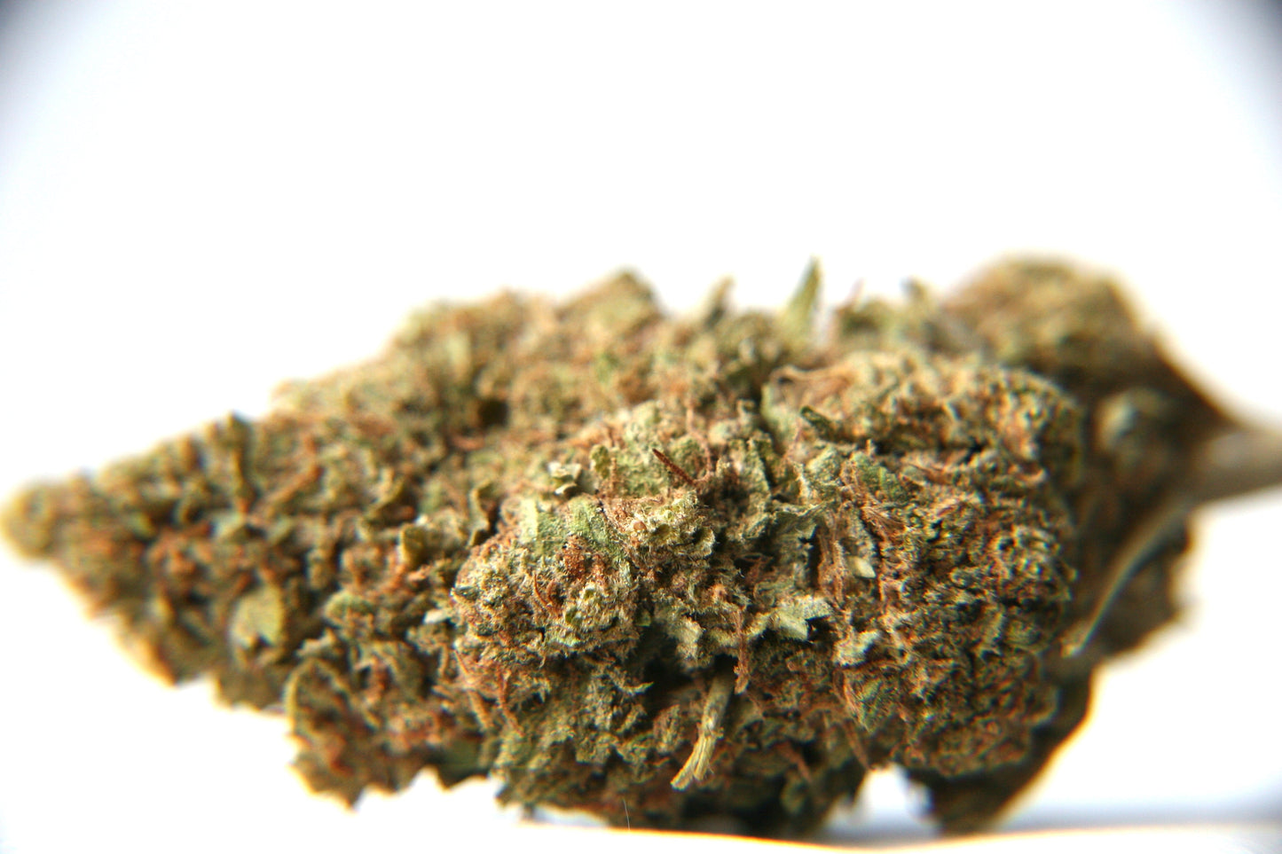 Berry-Cheese Cake - Bulk - GOOD BUDS® - Prague Online Cannabis Store