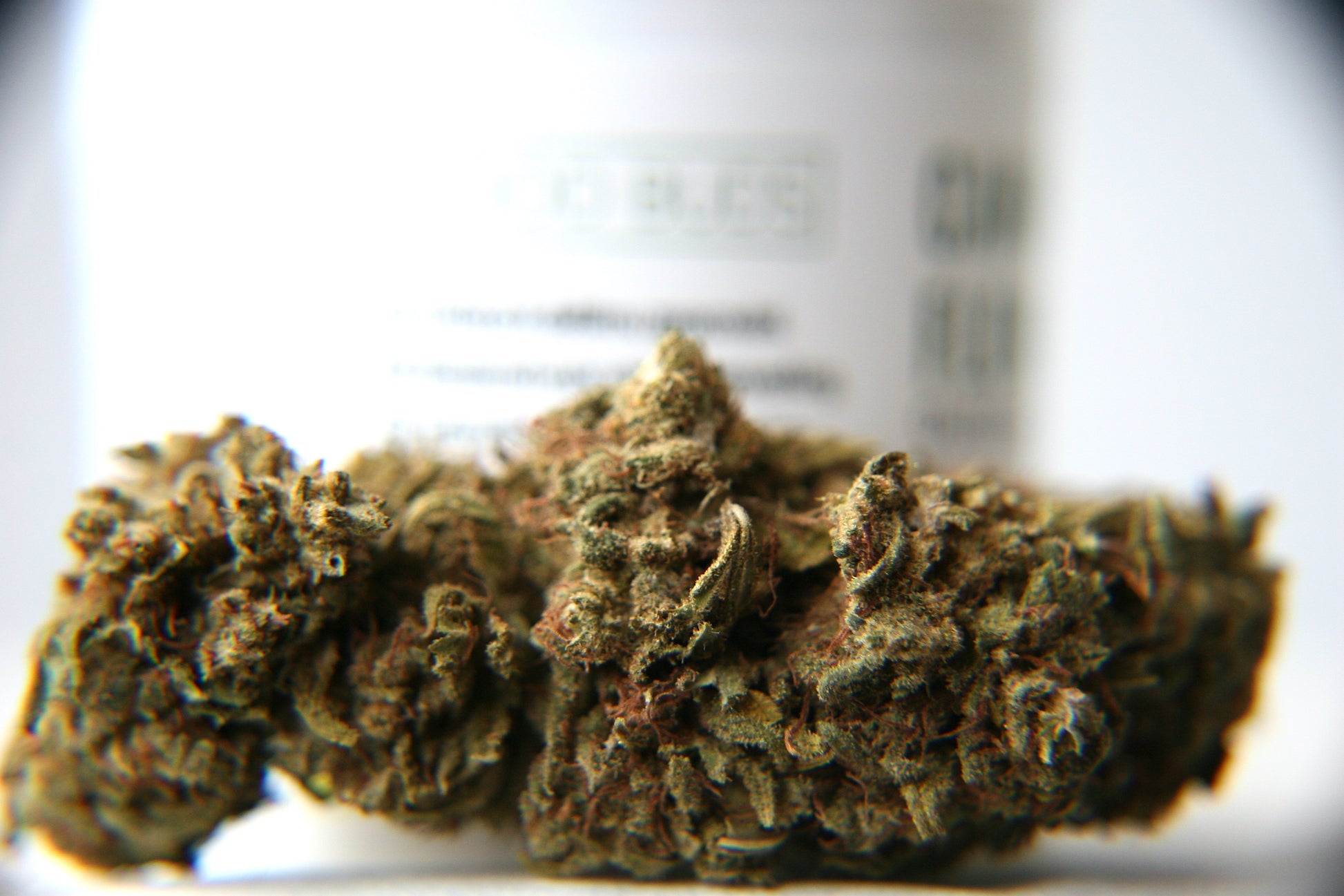 Berry Charlotte - GOOD BUDS® - Prague Online Cannabis Store