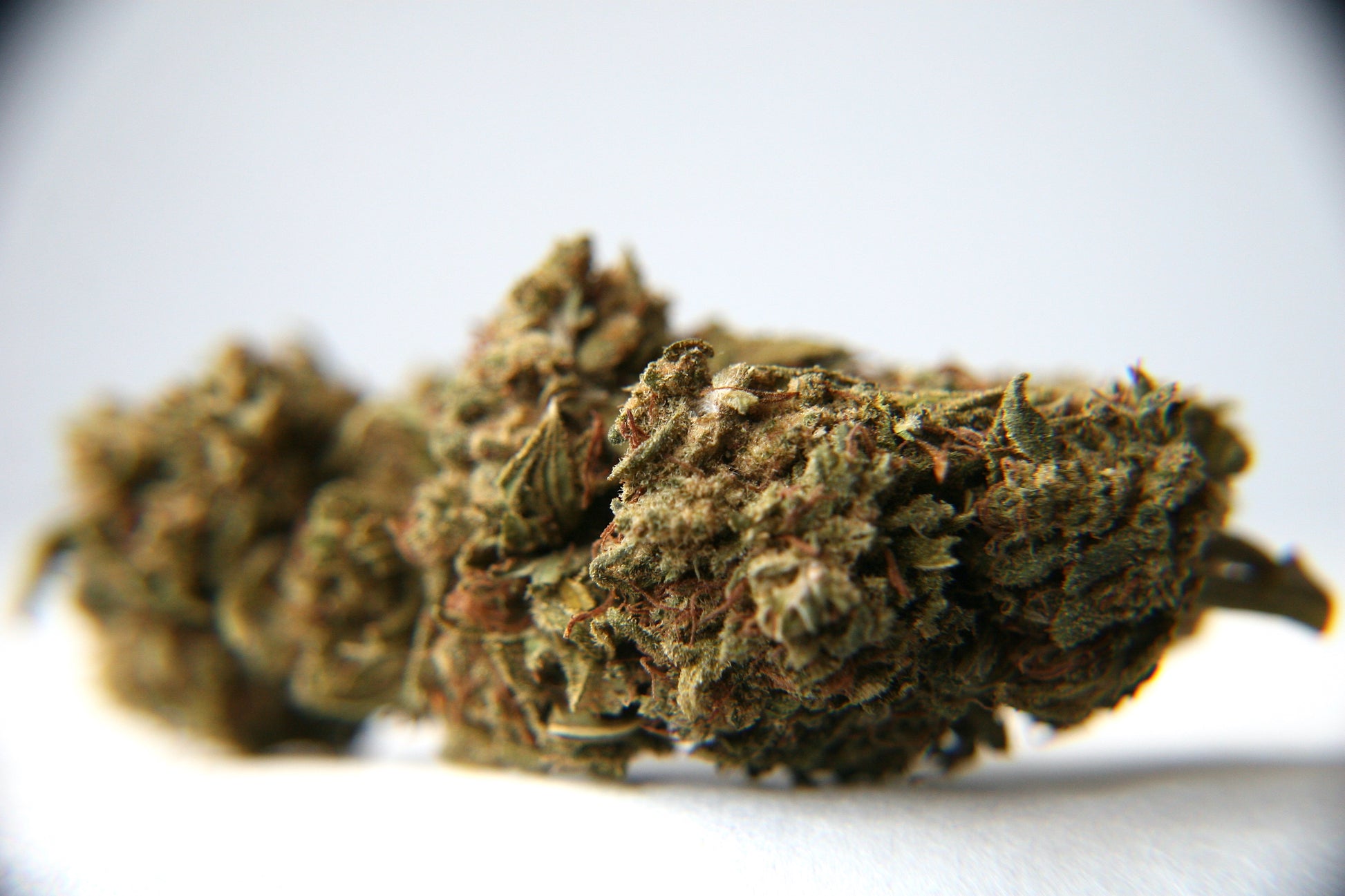 Berry Charlotte - GOOD BUDS® - Prague Online Cannabis Store