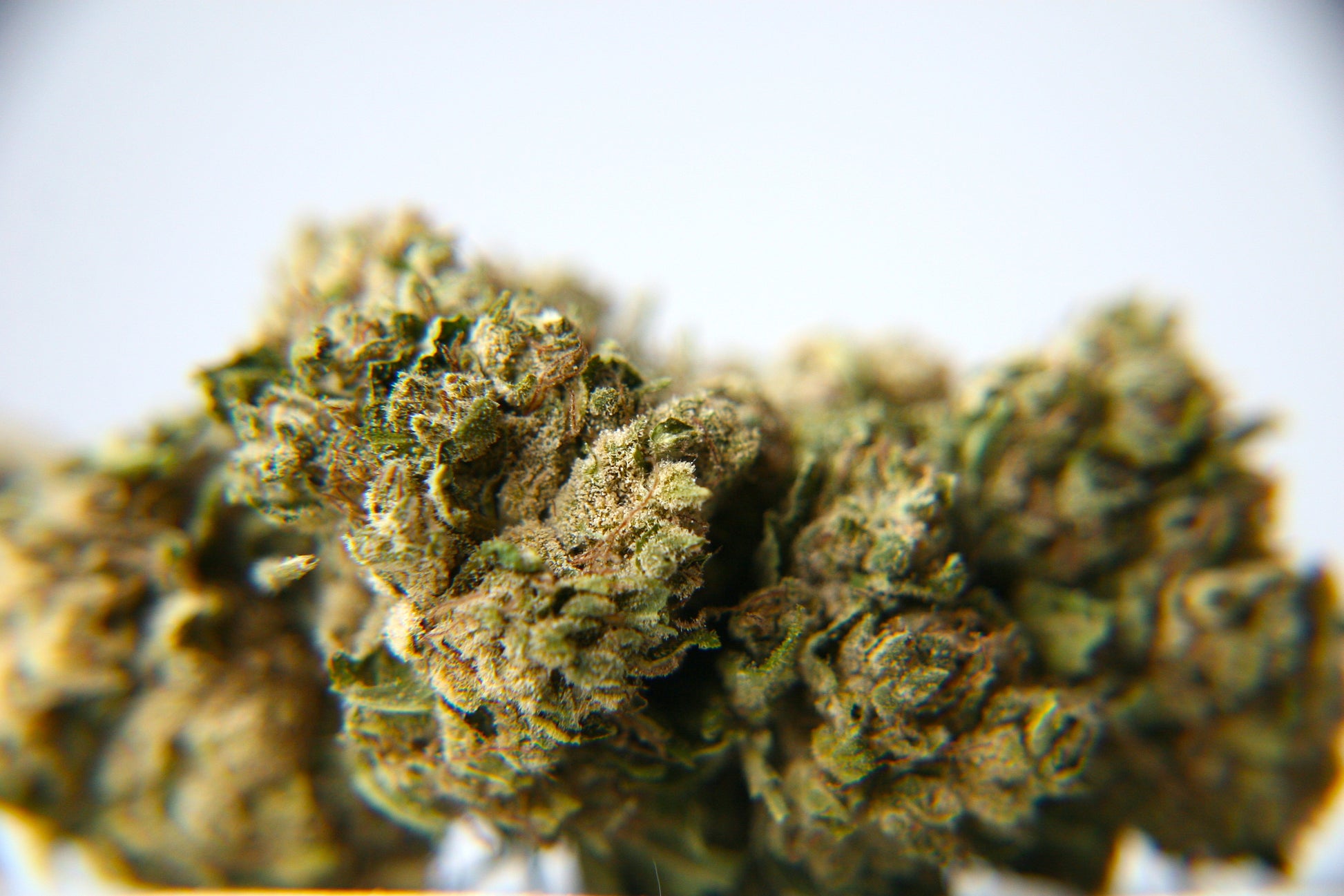 Lavender CBG - GOOD BUDS® - Prague Online Cannabis Store