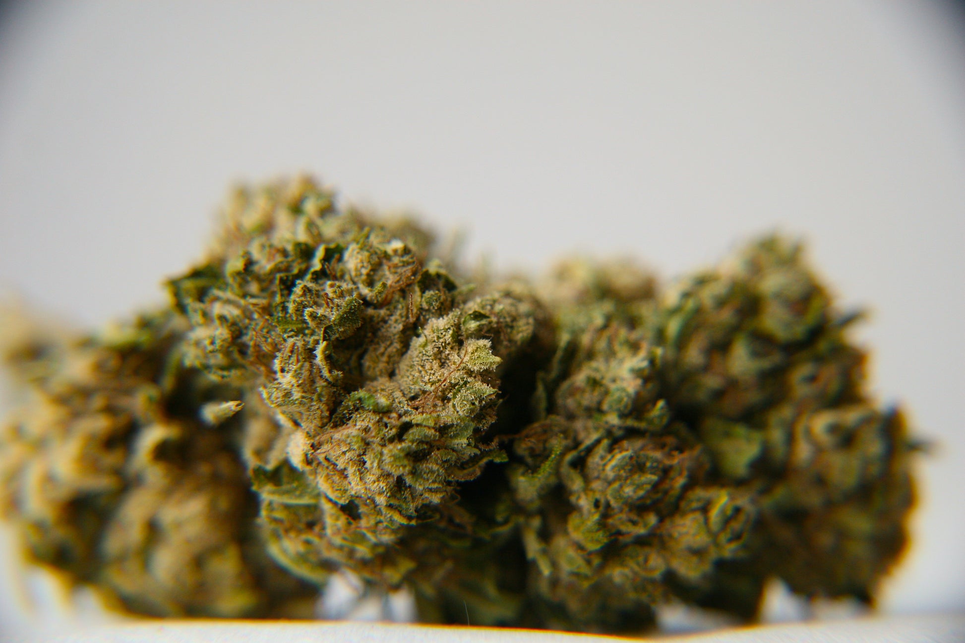 Lavender CBG - GOOD BUDS® - Prague Online Cannabis Store