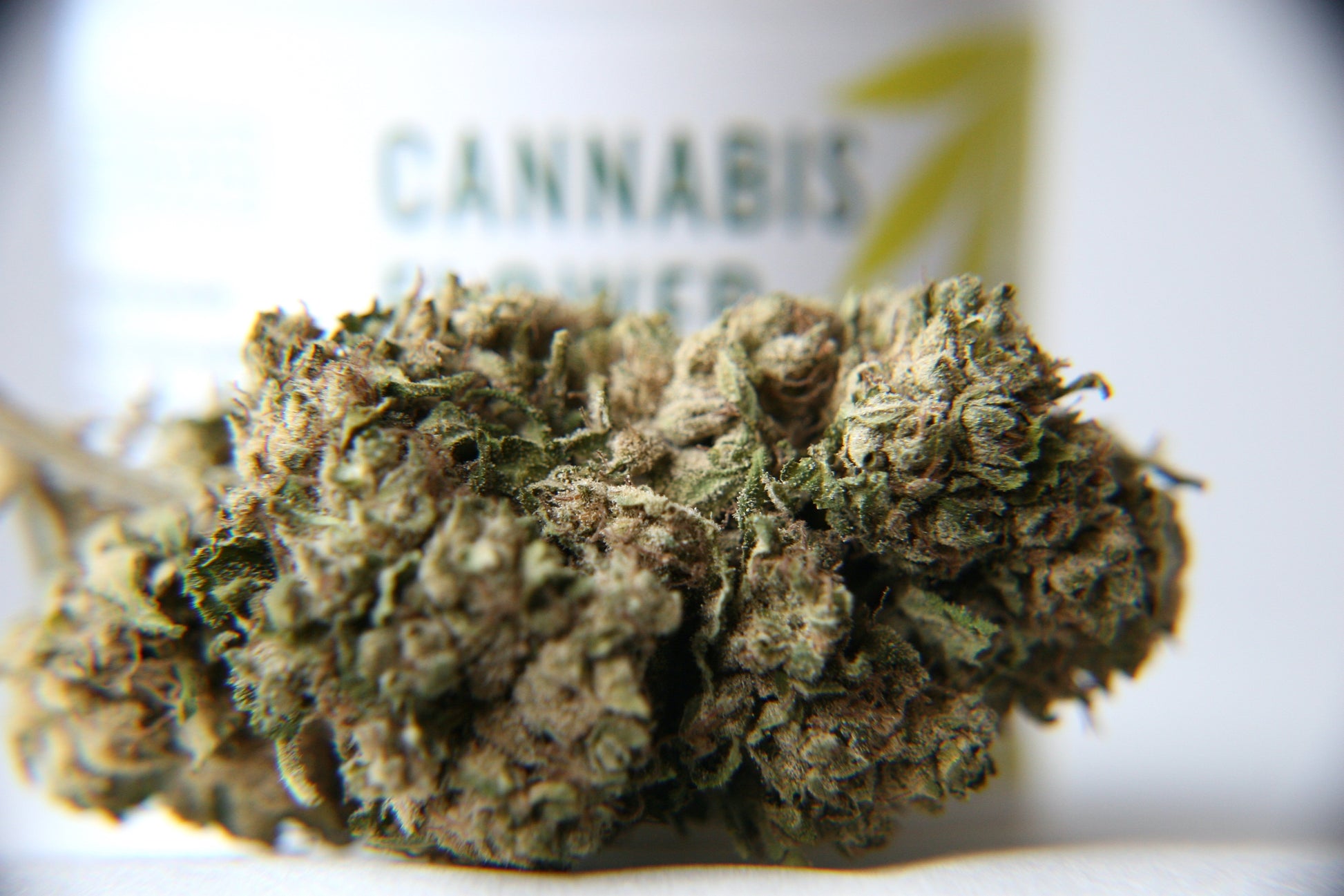 Lavender CBG - GOOD BUDS® - Prague Online Cannabis Store