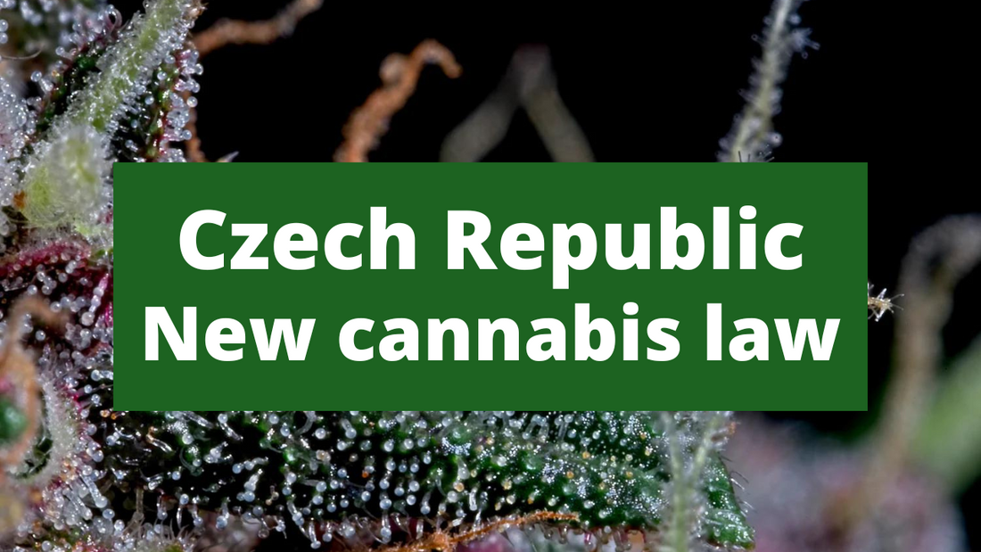 New cannabis law will open up the Czech market