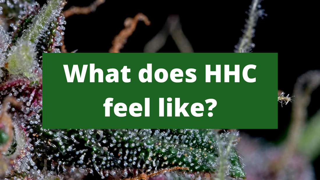What does HHC feel like?