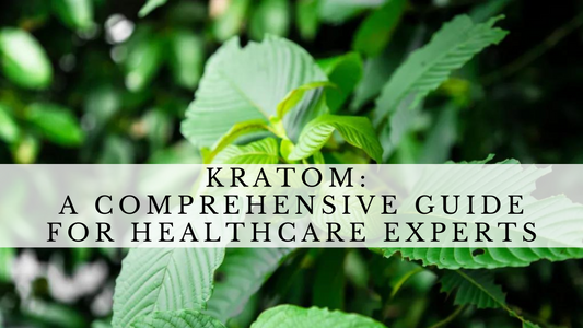 Kratom: A comprehensive guide for healthcare experts
