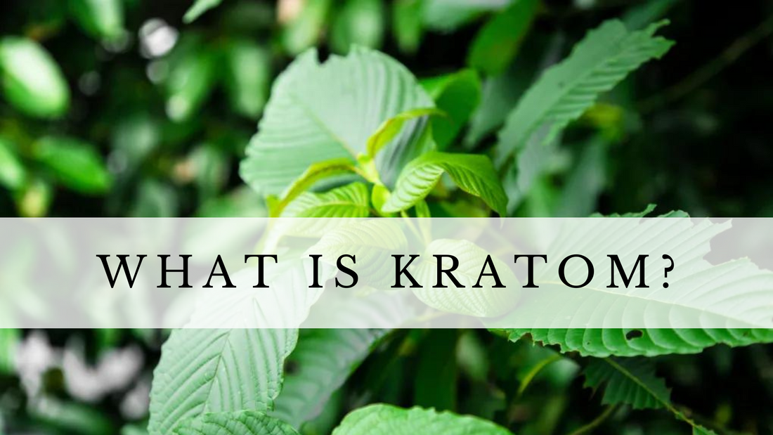 What is Kratom?