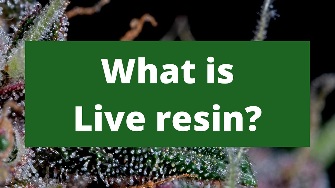 What is live resin