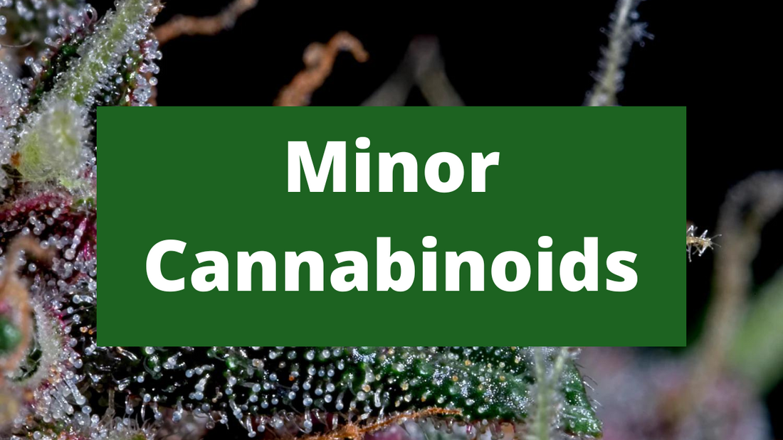 Minor cannabinoids