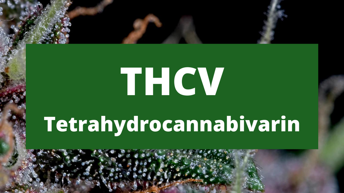 THCV (Tetrahydrocannabivarin)