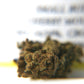Berry Charlotte - Small Buds - GOOD BUDS® - Prague Online Cannabis Store
