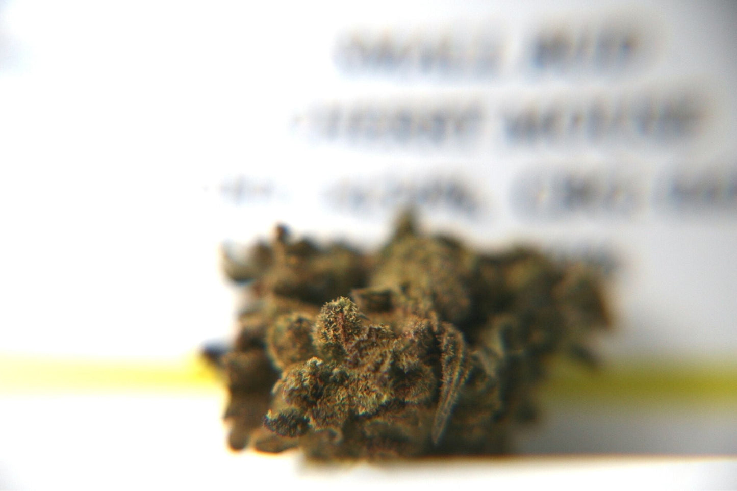 Berry Charlotte - Small Buds - Bulk - GOOD BUDS® - Prague Online Cannabis Store