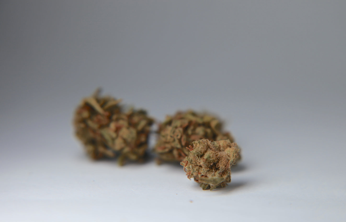 Berry-Cheese Cake - Small Buds - GOOD BUDS® - Prague Online Cannabis Store