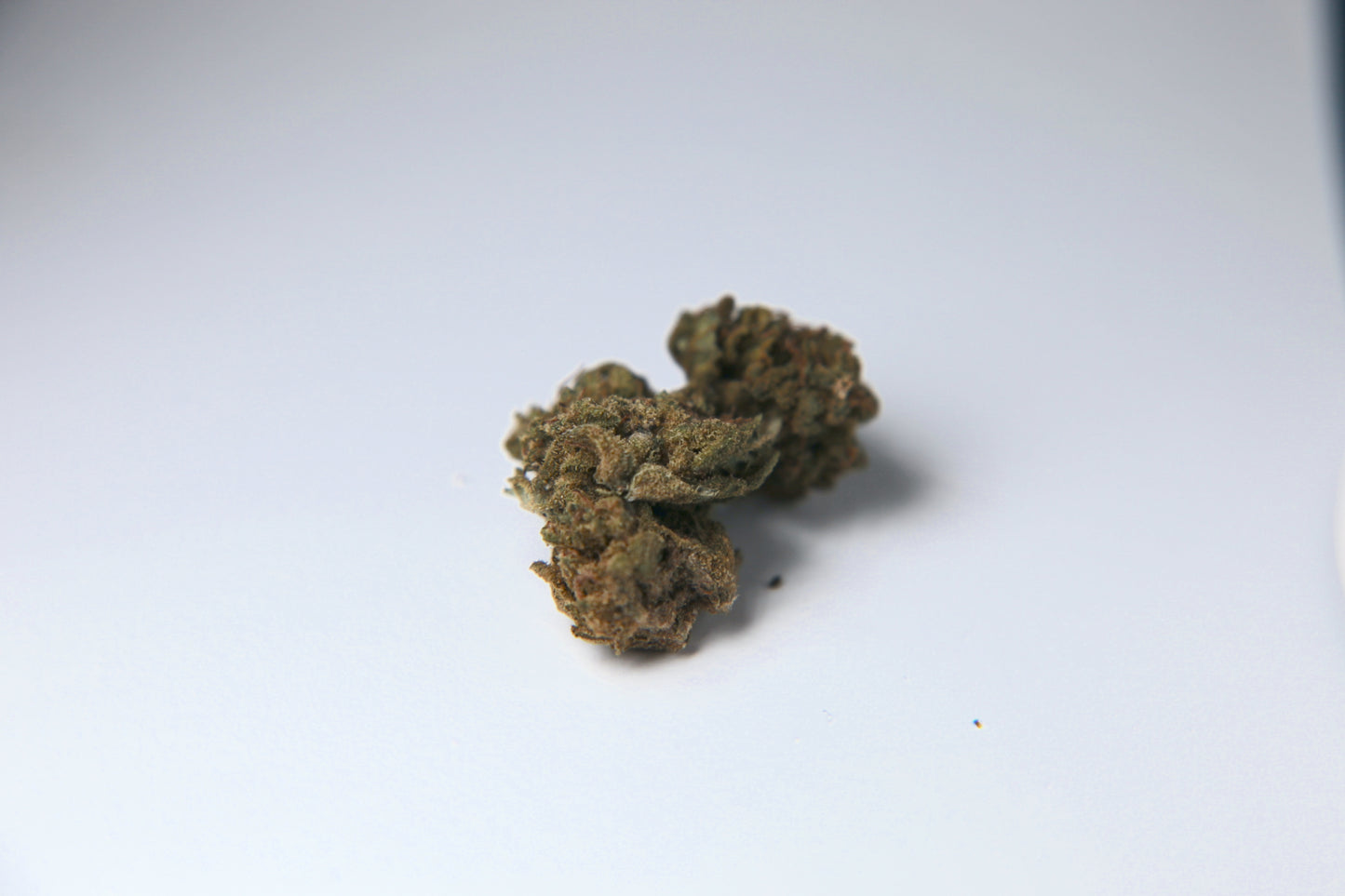 Cherry Mouse - Small Buds - GOOD BUDS® - Prague Online Cannabis Store